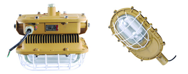 防爆无极灯 防爆无极灯