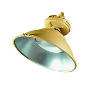 防爆无极灯 防爆无极灯