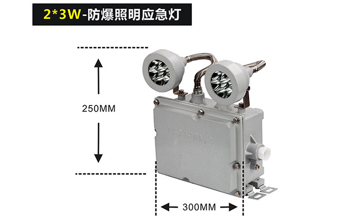 防爆双头应急灯 防爆双头应急灯